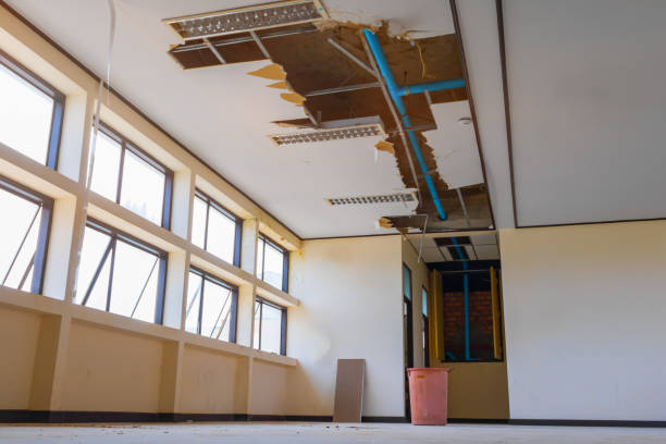 Best 24/7 water damage repair  in Bear Creek, FL