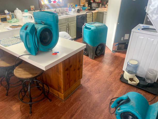 Best Fire Damage Restoration  in Bear Creek, FL