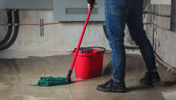 Best Water damage restoration near me  in Bear Creek, FL