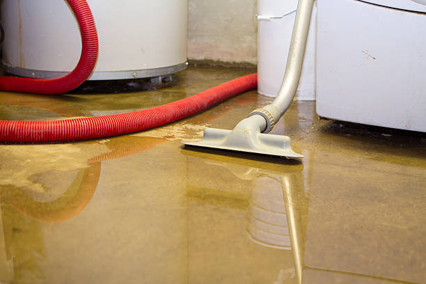 Best Water damage restoration experts  in Bear Creek, FL