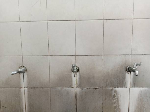 Best Ceiling water damage repair  in Bear Creek, FL