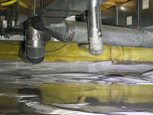 Best Residential water damage restoration  in Bear Creek, FL