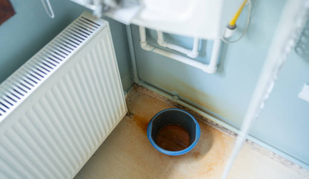 Best 24/7 water damage repair  in Bear Creek, FL