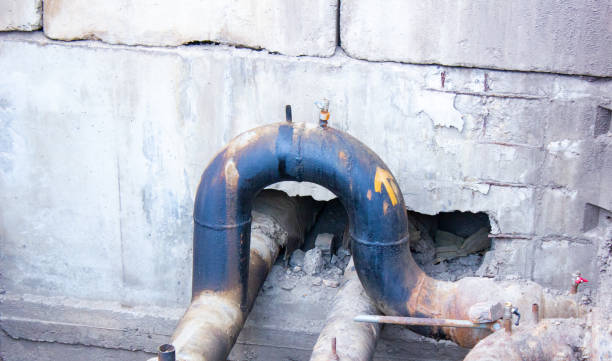 Best Water damage contractors near me  in Bear Creek, FL