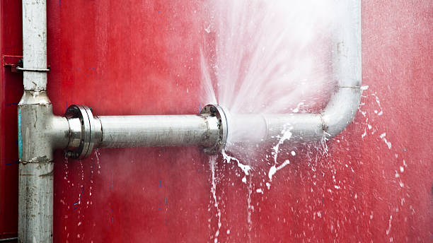Best Water damage restoration near me  in Bear Creek, FL